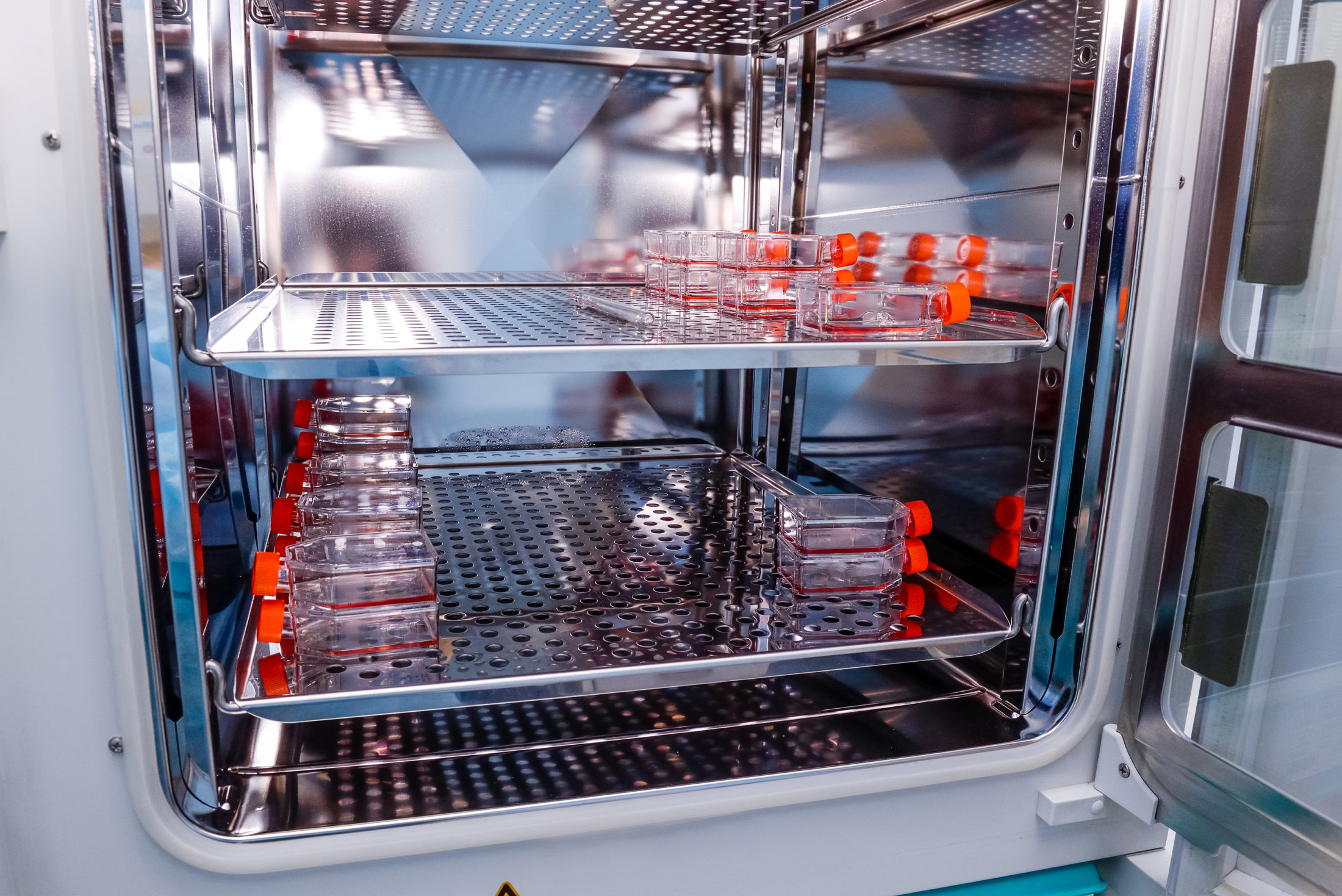 کالیبراسیون و نگهداری انکوباتور